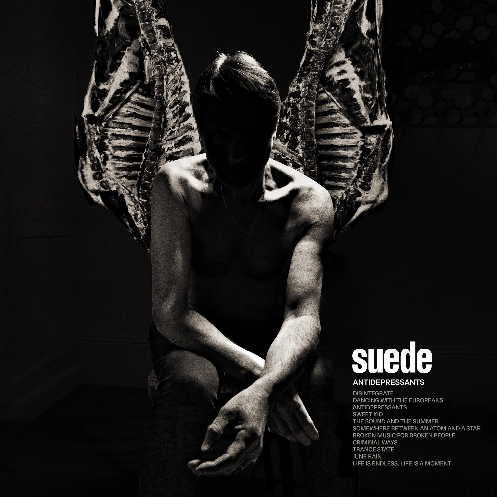 Suede - Antidepressants