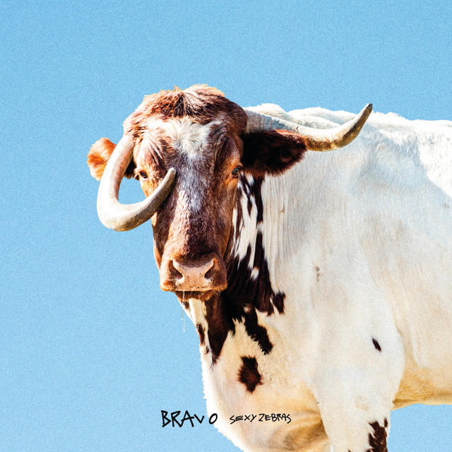 Sexy Zebras - Bravo