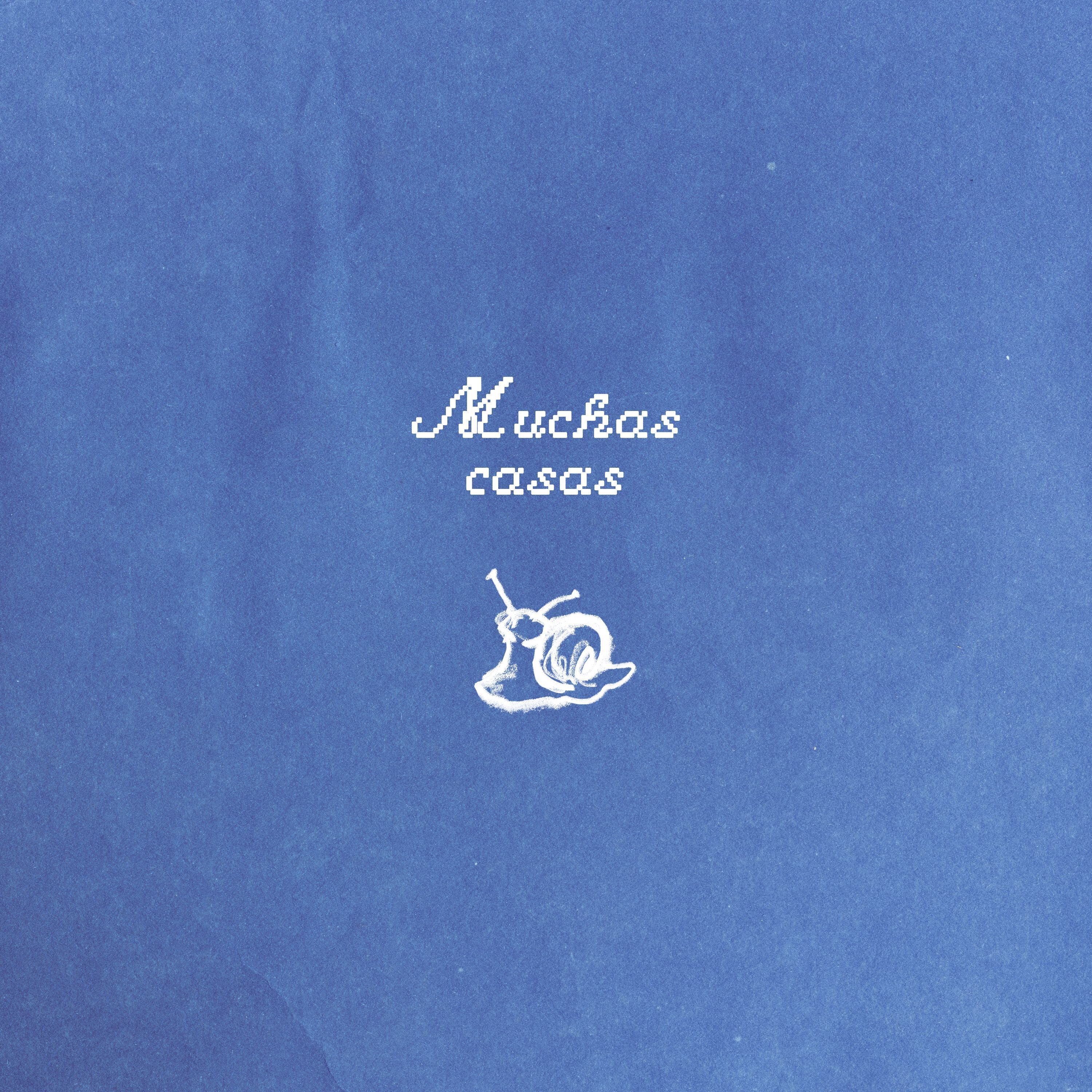 Noticia 2
